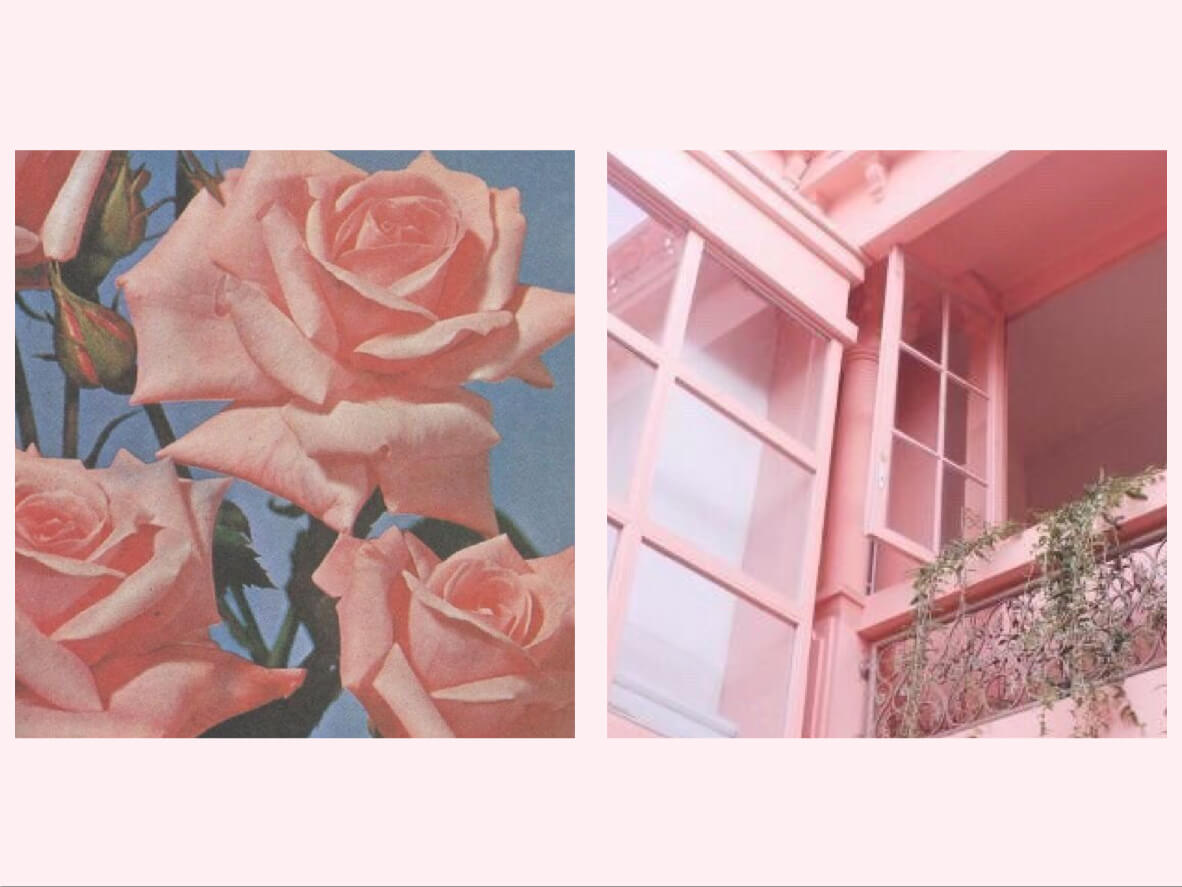 貪狼是桃花星？