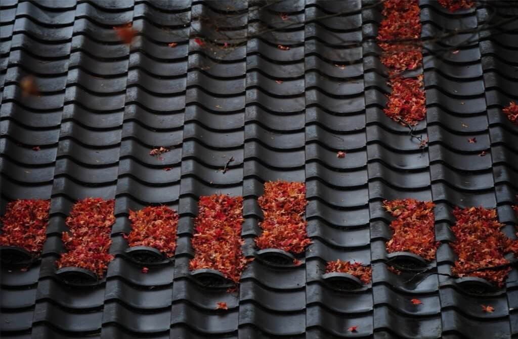 關於祿存-積富篇