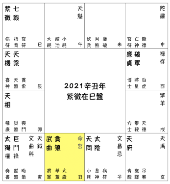 2021辛丑流年預測 - 紫微在巳盤
