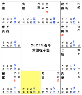 2021辛丑流年預測-紫微在子盤