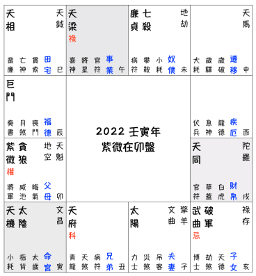 壬寅流年預測 - 紫微在卯盤