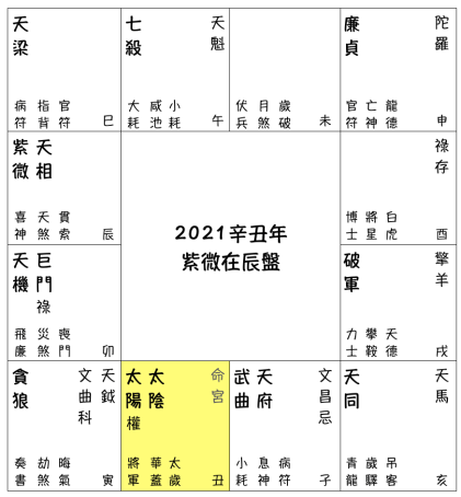 2021辛丑流年預測 - 紫微在辰盤